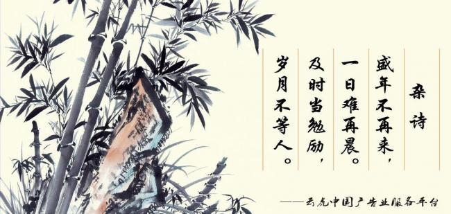 辦公室風(fēng)水?dāng)[件，助你事業(yè)風(fēng)生水起